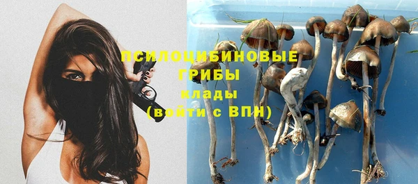 герыч Абинск