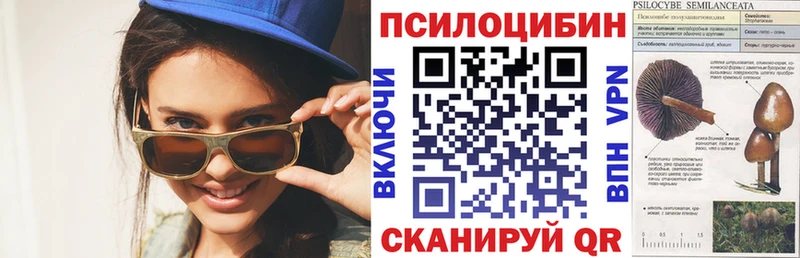 Галлюциногенные грибы прущие грибы  как найти закладки  Звенигород 