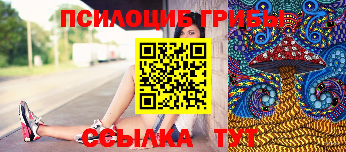 Псилоцибиновые грибы мицелий  Вход с VPN  наркотики  Звенигород 